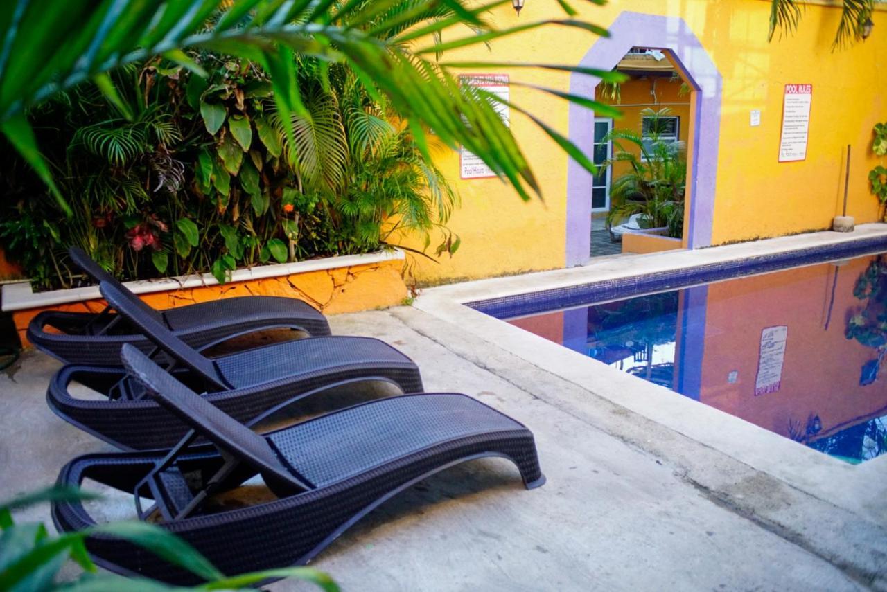 Auberge de jeunesse Weary Traveler